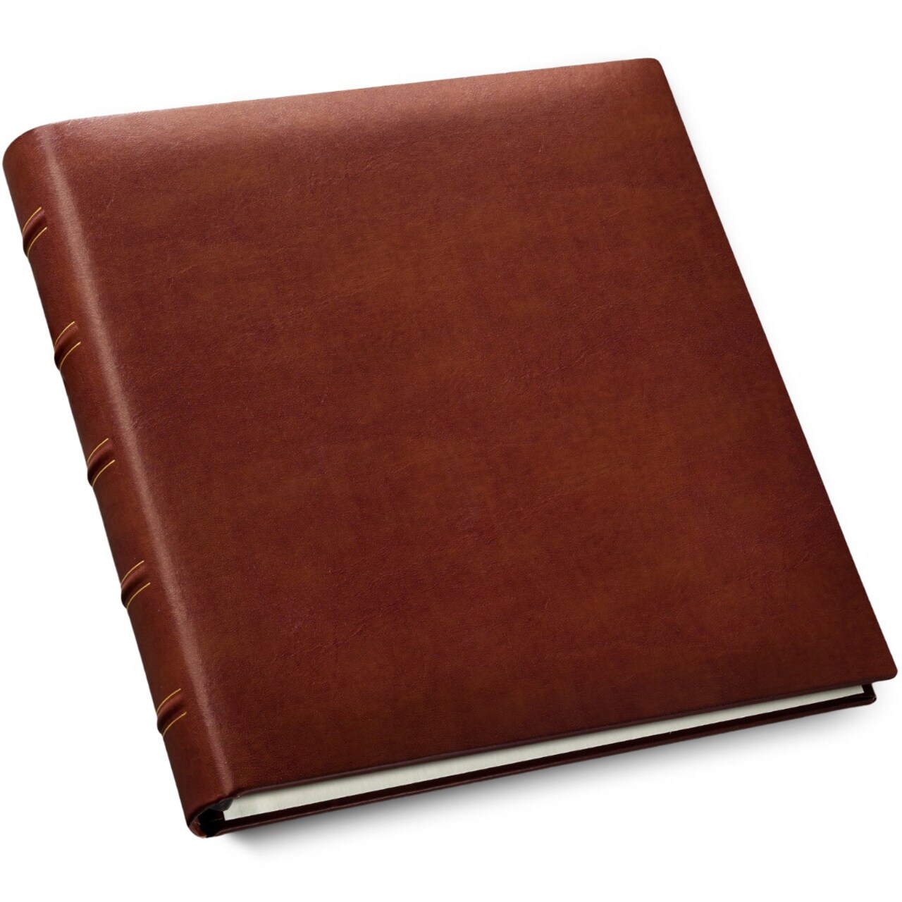Gallery Leather Premium Ring-Bound Scrapbook, 12.25"x11.75" Leather Cover, 10 Sheets Ivory Inserts, Perfect for Customization